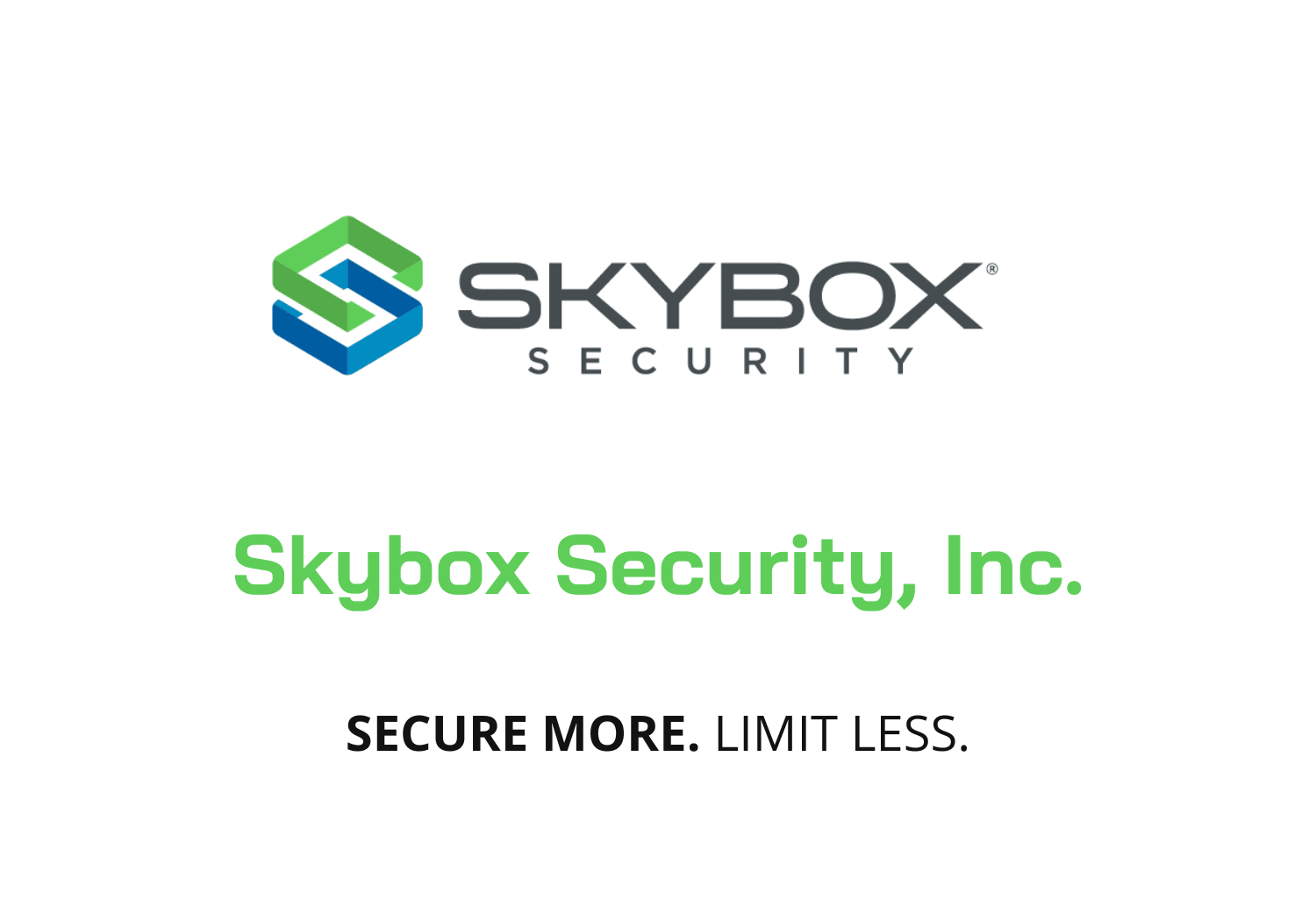 B2B Leadgenerierung kirendi Referenzen Skybox Security